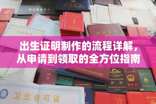 洛隆出生证明制作的流程详解，从申请到领取的全方位指南